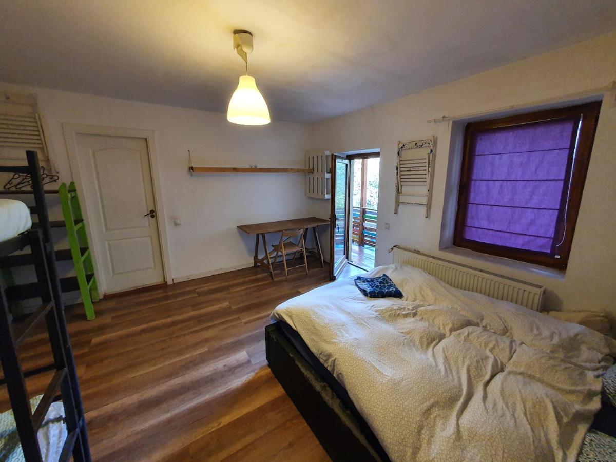 Zen Hostel คลูจ-นาโปกา ภายนอก รูปภาพ