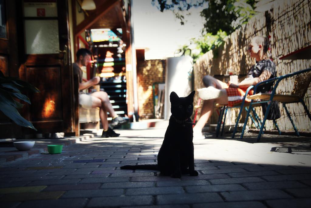 Zen Hostel คลูจ-นาโปกา ภายนอก รูปภาพ