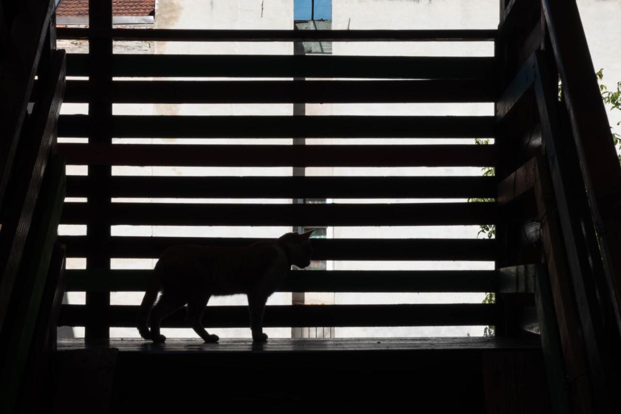 Zen Hostel คลูจ-นาโปกา ภายนอก รูปภาพ
